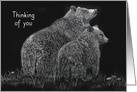 Thinking of You Bears Wildlife Flower Meadow card