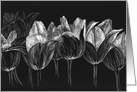Black Tulip Flowers Black White Floral Blank card