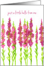 Just A Little Hello From Me Heather Flowers card