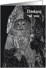 Thinking of You Owl Tree Nature Black White card