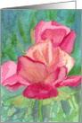 Pink Roses Watercolor Flowers Blank card