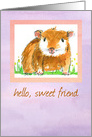 Hello Sweet Friend Guinea Pig Watercolor card