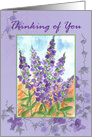 You Are Enough You Matter Purple Lupine Flower Collage card