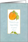 Happy Birthday Friend Apricot Fruit Watercolor Illustration card