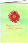 Happy Mother’s Day Lovely Godmother Red Daisy card