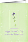 Happy Mother’s Day Foster Mom Lavender Wildflower card