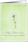 Happy Mother’s Day Special Great Granddaughter Lavender Wildflower card