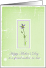 Happy Mother’s Day Special Mother-in-Law Lavender Wildflower card