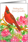 Thinking of You Great Grandma Cardinal Bird Rhododendron card