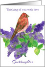 Thinking of You Goddaughter Purple Finch Bird Lilacs card