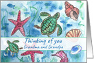 Thinking of You Grandparents Turtles Fish Sea Horse Watercolor card