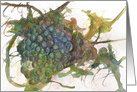 Grape Vine Fruit Watercolor Art Blank card