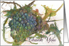 Thank you Grapes Vines Fruit Watercolor Blank card