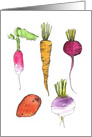 Carrot Beet Radish Potato Turnip Root Vegetables Blank card