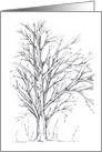 Winter Tree Black Pen and Ink Art Drawing Blank card