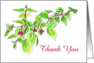 Thank You Fuchsia Flower Pen and Ink Art Drawing card