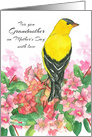 For You Grandmother On Mother’s Day Goldfinch Bird card