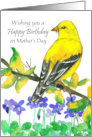 Wishing You A Happy Birthday On Mother’s Day card