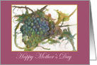 Happy Mother’s Day Wine Grapes Vine Watercolor card