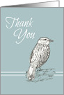 Thank You Bird Nature Drawing Dove Gray card