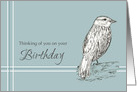 Thinking Of You On Your Birthday Bird Drawing card
