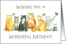 Wishing You A Wonderful Birthday Cats Butterflies card