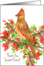 Thank You Friend Female Cardinal Bird card