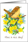 Have A Nice Day Carolina Wren Jessamine card