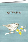 Get Well Soon White Bird Tree Branch Gray card
