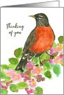 Thinking of You Robin Bird Apple Tree Blossoms card