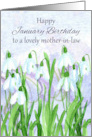 Happy January Birthday Mother-in-Law Snowdrops Birth Flower card