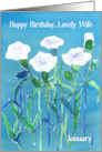 Happy Birthday Lovely Wife White Carnation Flowers Watercolor card