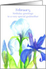 Happy Birthday Godmother February Iris Birth Flower card