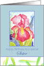 Happy Birthday Sister February Pink Iris Flower card