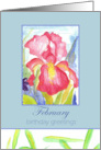 Happy Birthday February Pink Iris Flower Watercolor card