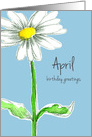 Happy April Birthday Shasta Daisy Flower Drawing card