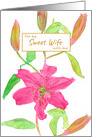 For My Sweet Wife With Love Pink Day Lily Flower card