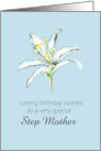 Happy May Birthday Step Mother White Lily Flower Pencil Drawing card