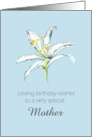 Happy May Birthday Mother White Lily Flower Pencil Drawing card