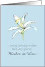Happy May Birthday Mother-in-Law White Lily Flower Pencil Drawing card
