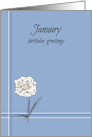 Happy January Birthday Greetings White Carnation card