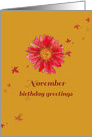 November Birthday Greetings Red Chrysanthemum card