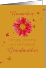 Happy November Birthday Grandmother Red Chrysanthemum Flower Art card
