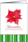 Happy December Birthday Red Poinsettia Flower card