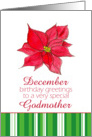 Happy December Birthday Godmother Red Poinsettia Flower card