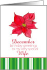 Happy December Birthday Wife Red Poinsettia Flower card