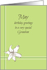 Happy May Birthday Grandson White Lily Flower Drawing card