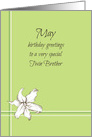 Happy May Birthday Twin Brother White Lily Flower Drawing card