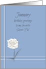 Happy January Birthday Secret Pal Carnation card