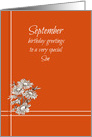 Happy September Birthday Son White Aster Flower Drawing card